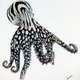 An illustration of the Larger Pacific Striped Octopus, from the PLOS One paper.